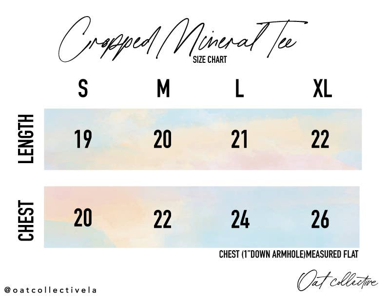 Hold Your Horse Crop Graphic T